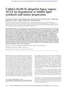 Genes Dev.-2016-Zhang-1956-70-Cullin3–KLHL25 ubiquitin ligase targets ACLY for degradation to inhibit lipid synthesis and tumor progression