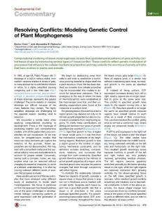 Developmental-Cell_2016_Resolving-Conflicts-Modeling-Genetic-Control-of-Plant-Morphogenesis