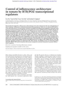 Genes Dev.-2016-Xu-2048-61-Control of inflorescence architecture in tomato by BTB-POZ transcriptional regulators