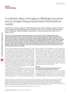 nbt.3681-A proteomic atlas of the legume Medicago truncatula and its nitrogen-fixing endosymbiont Sinorhizobium meliloti