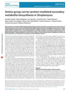 nchembio.2181-Amino-group carrier-protein-mediated secondary metabolite biosynthesis in Streptomyces