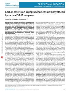 nchembio.2187-Carbon extension in peptidylnucleoside biosynthesis by radical SAM enzymes