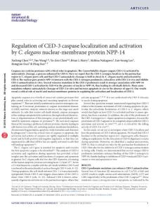 nsmb.3308-Regulation of CED-3 caspase localization and activation by C. elegans nuclear-membrane protein NPP-14