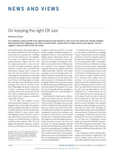 ncb3430-On keeping the right ER size