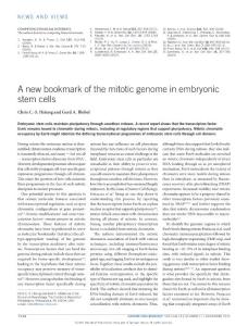 ncb3432-A new bookmark of the mitotic genome in embryonic stem cells