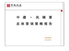 2017年中建·鳳棲第總體營銷策略報告.ppt