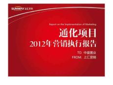 中盛置業通化項目2017年營銷執行報告.ppt