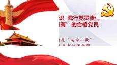 两学一做-党工委书记-讲党课