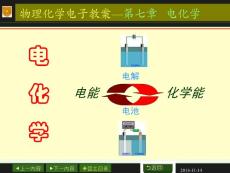 第七章電解質(zhì)溶液資料