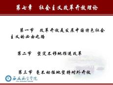 第七章社會(huì)主義改革開放理論資料
