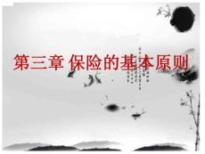 第三章保險的基本原則資料