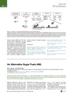 Cancer Cell-2016-An Alternative Sugar Fuels AML