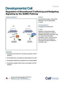 Developmental Cell-2016-Regulation of Smoothened Trafficking and Hedgehog Signaling by the SUMO Pathway