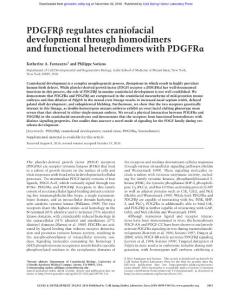 Genes Dev.-2016-Fantauzzo-2443-58-PDGFRβ regulates craniofacial development through homodimers and functional heterodimers with PDGFRα