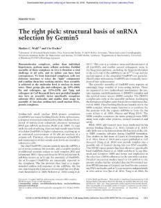 Genes Dev.-2016-Wahl-2341-4-The right pick structural basis of snRNA selection by Gemin5