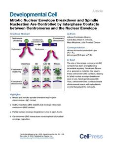 Developmental Cell-2016-Mitotic Nuclear Envelope Breakdown and Spindle Nucleation Are Controlled by Interphase Contacts between Centromeres and the Nuclear Envelope