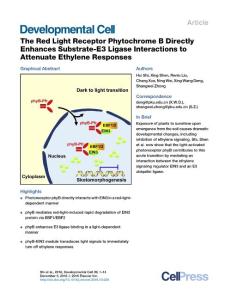Developmental Cell-2016-The Red Light Receptor Phytochrome B Directly Enhances Substrate-E3 Ligase Interactions to Attenuate Ethylene Responses