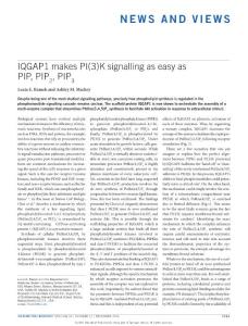 ncb3440-IQGAP1 makes PI(3)K signalling as easy as PIP, PIP2, PIP3