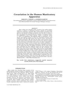 covariation in the human masticatory apparatus