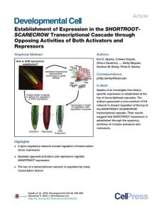 Developmental Cell-2016-Establishment of Expression in the SHORTROOT-SCARECROW Transcriptional Cascade through Opposing Activities of Both Activators and Repressors
