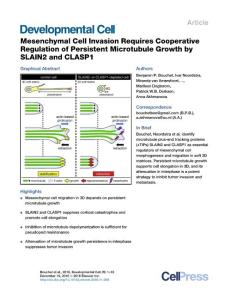 Developmental Cell-2016-Mesenchymal Cell Invasion Requires Cooperative Regulation of Persistent Microtubule Growth by SLAIN2 and CLASP1