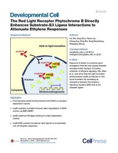 Developmental Cell-2016-The Red Light Receptor Phytochrome B Directly Enhances Substrate-E3 Ligase Interactions to Attenuate Ethylene Responses