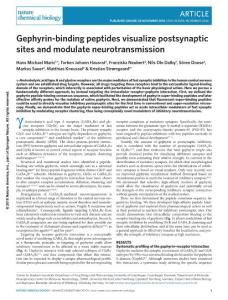 nchembio.2246-Gephyrin-binding peptides visualize postsynaptic sites and modulate neurotransmission