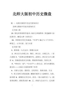 北师大版初中历史微盘