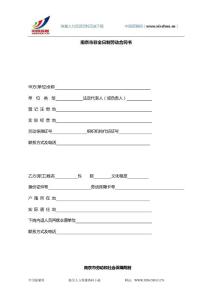 中国薪酬网-人力资源常用资料-4劳动关系-南京2008非全日制劳动合同.doc