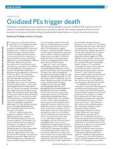 nchembio.2261-Ferroptosis- Oxidized PEs trigger death