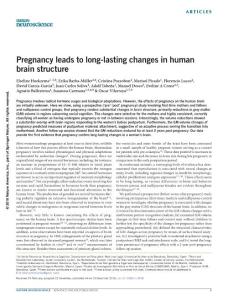 nn.4458-Pregnancy leads to long-lasting changes in human brain structure
