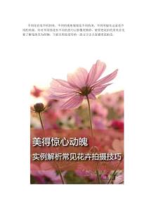 實(shí)例分析常見(jiàn)花卉攝影方法