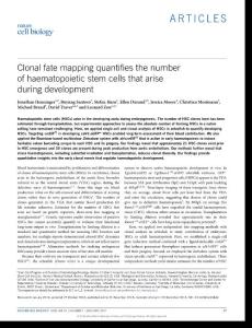 ncb3444-Clonal fate mapping quantifies the number of haematopoietic stem cells that arise during development