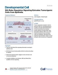 Developmental Cell-2016-Slit-Robo Repulsive Signaling Extrudes Tumorigenic Cells from Epithelia