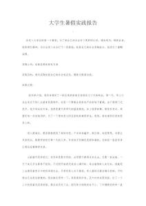大學生家電促銷員實踐報告