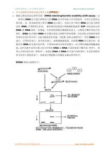 什么是凝胶迁移或电泳迁移率实验(EMSA)？