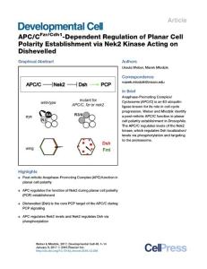 Developmental Cell-2016-APC-CFzr-Cdh1-Dependent Regulation of Planar Cell Polarity Establishment via Nek2 Kinase Acting on Dishevelled