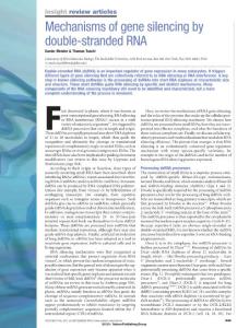 Mechanisms of gene silencing by double-stranded RNA