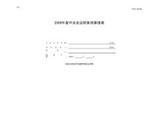 09財務(wù)預(yù)算報表