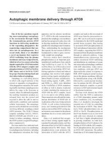 cr20174a-Autophagic membrane delivery through ATG9