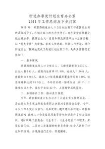 2011全年工作及下步打算計生