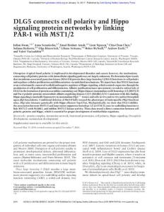 Genes Dev.-2016-Kwan-2696-709-DLG5 connects cell polarity and Hippo signaling protein networks by linking PAR-1 with MST1:2