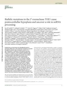 ng.3762-Biallelic mutations in the 3′ exonuclease TOE1 cause pontocerebellar hypoplasia and uncover a role in snRNA processing