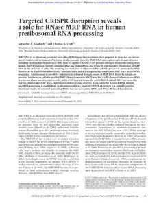 Genes Dev.-2017-Goldfarb-59-71-Targeted CRISPR disruption reveals a role for RNase MRP RNA in human preribosomal RNA processing