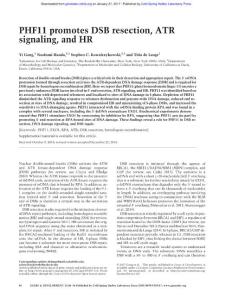 Genes Dev.-2017-Gong-46-58-PHF11 promotes DSB resection, ATR signaling, and HR
