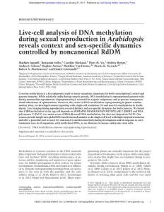 Genes Dev.-2017-Ingouff- Live-cell analysis of DNA methylation during sexual reproduction in Arabidopsis reveals context and sex-specific dynamics controlled by noncanonical RdDM