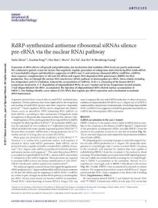 nsmb.3376-RdRP-synthesized antisense ribosomal siRNAs silence pre-rRNA via the nuclear RNAi pathway