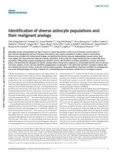nn.4493-Identification of diverse astrocyte populations and their malignant analogs