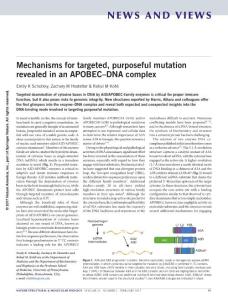 nsmb.3373-Mechanisms for targeted, purposeful mutation revealed in an APOBEC–DNA complex