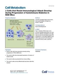 Cell Metabolism-2017-β Cells that Resist Immunological Attack Develop during Progression of Autoimmune Diabetes in NOD Mice